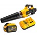 DeWALT DCMBA572X1 Aku Dmuchawa 200km/h, XR FlexVolt 54V (1x9,0Ah)